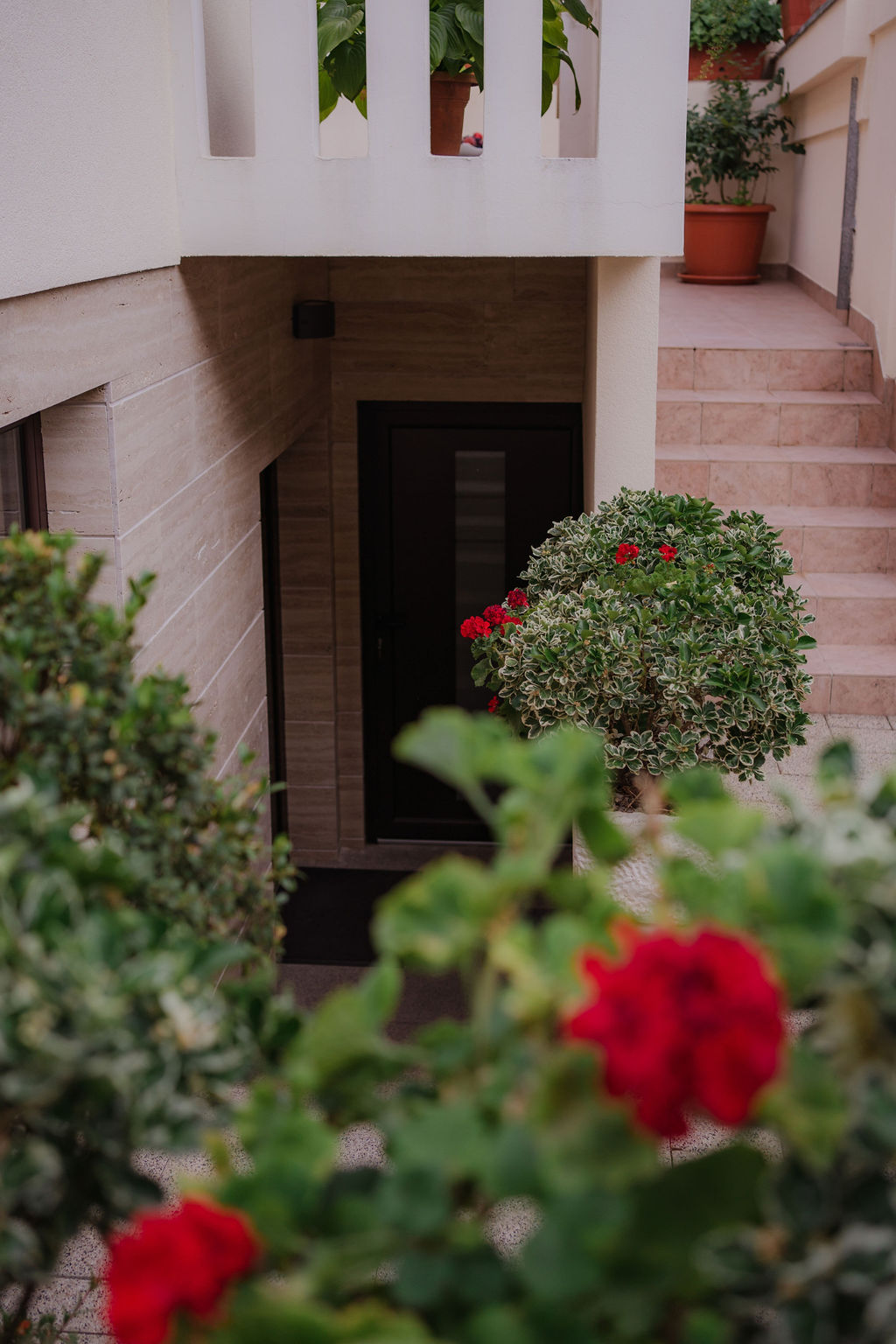 Kušaonica Olea Tinia OPG Zagorac Milenko