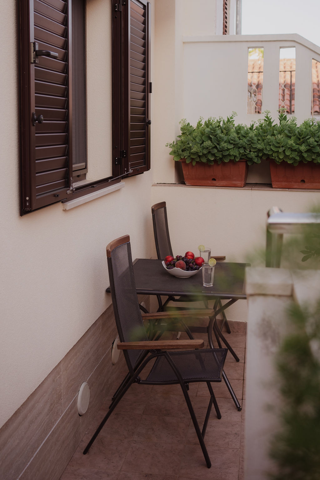 Apartman Olea Tinia OPG Zagorac Milenko